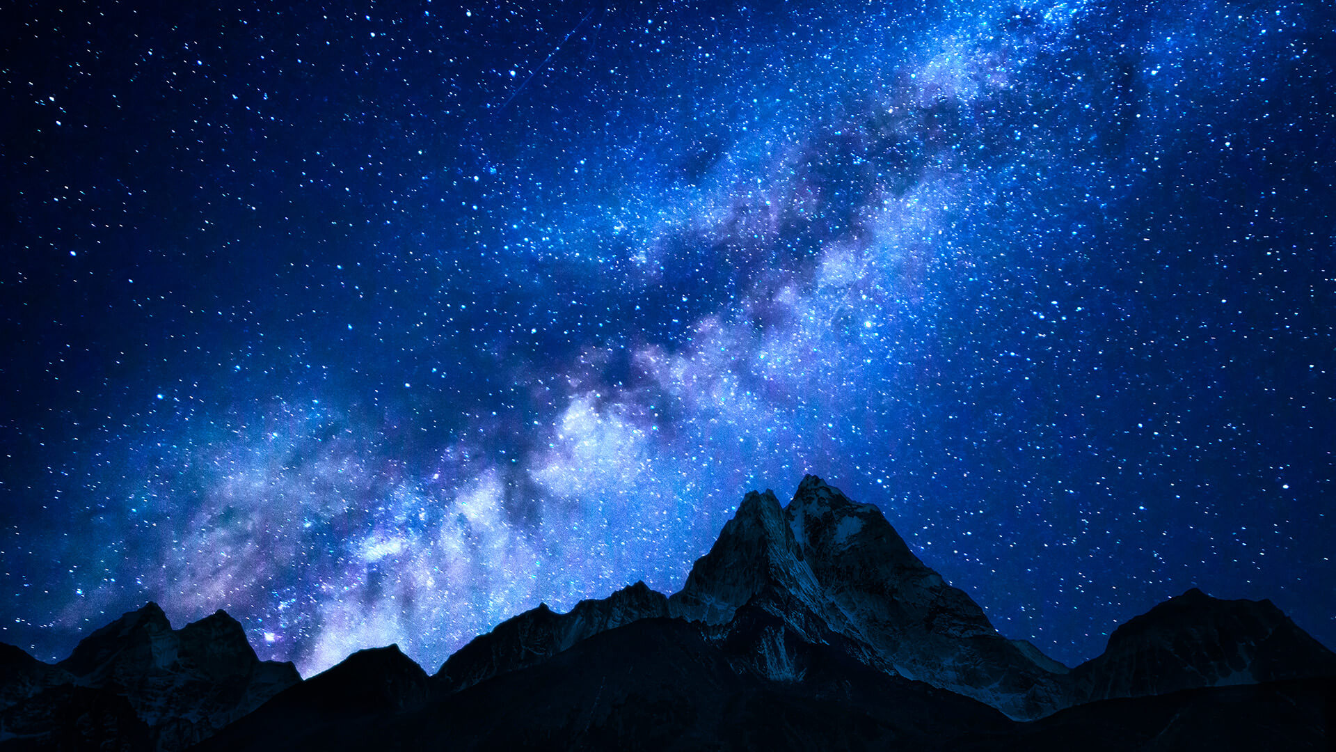 未経験からウェルス・マネジメントの｢プロフェッショナル｣へ