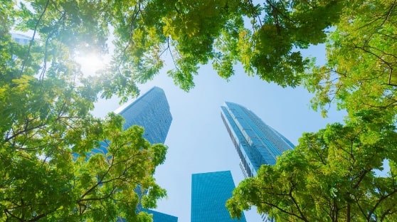 インベストメント・マネジメント部門